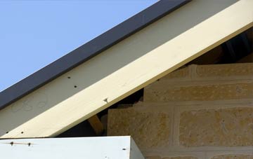 Crizeley fascia repairs