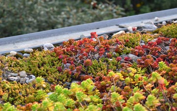 the cost of Crizeley green roof installation