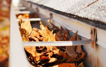 Crizeley gutter cleaning companies