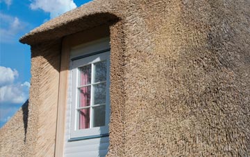 Crizeley thatch roof disadvantages